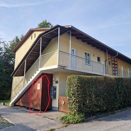 Erholung Pur Nahe Krankenhaus & Uni Mit Parkplatz! Lejlighed Graz Eksteriør billede